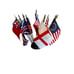 Vintage Flags Of Our Country Set With Historic Miniature Flags & Display Stand