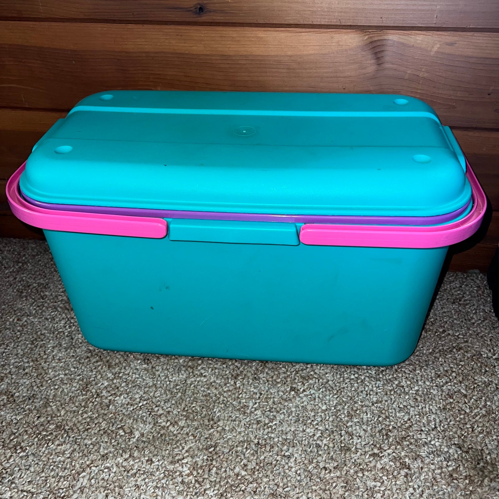 Vtg 90s Eagle Craftstor Sewing Storage Organizer Tote Bin Teal Purple Pink 20