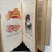 Паталогическая анатомия и паталогическая физиология Anatomy and Physiology Book