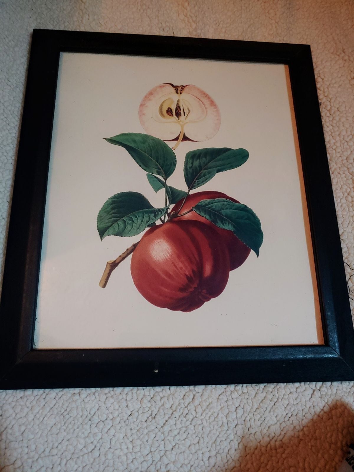 paintings