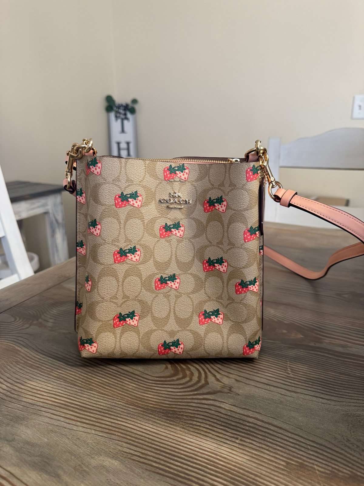 Coach Strawberry bag collection • Vaulted in 2022