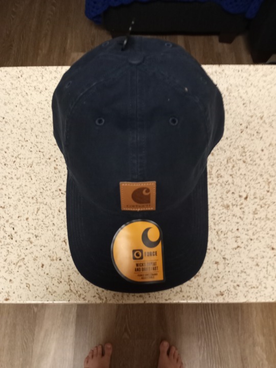 Carhartt Men's Canvas Cap