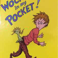 Dr Seuss book Wocket