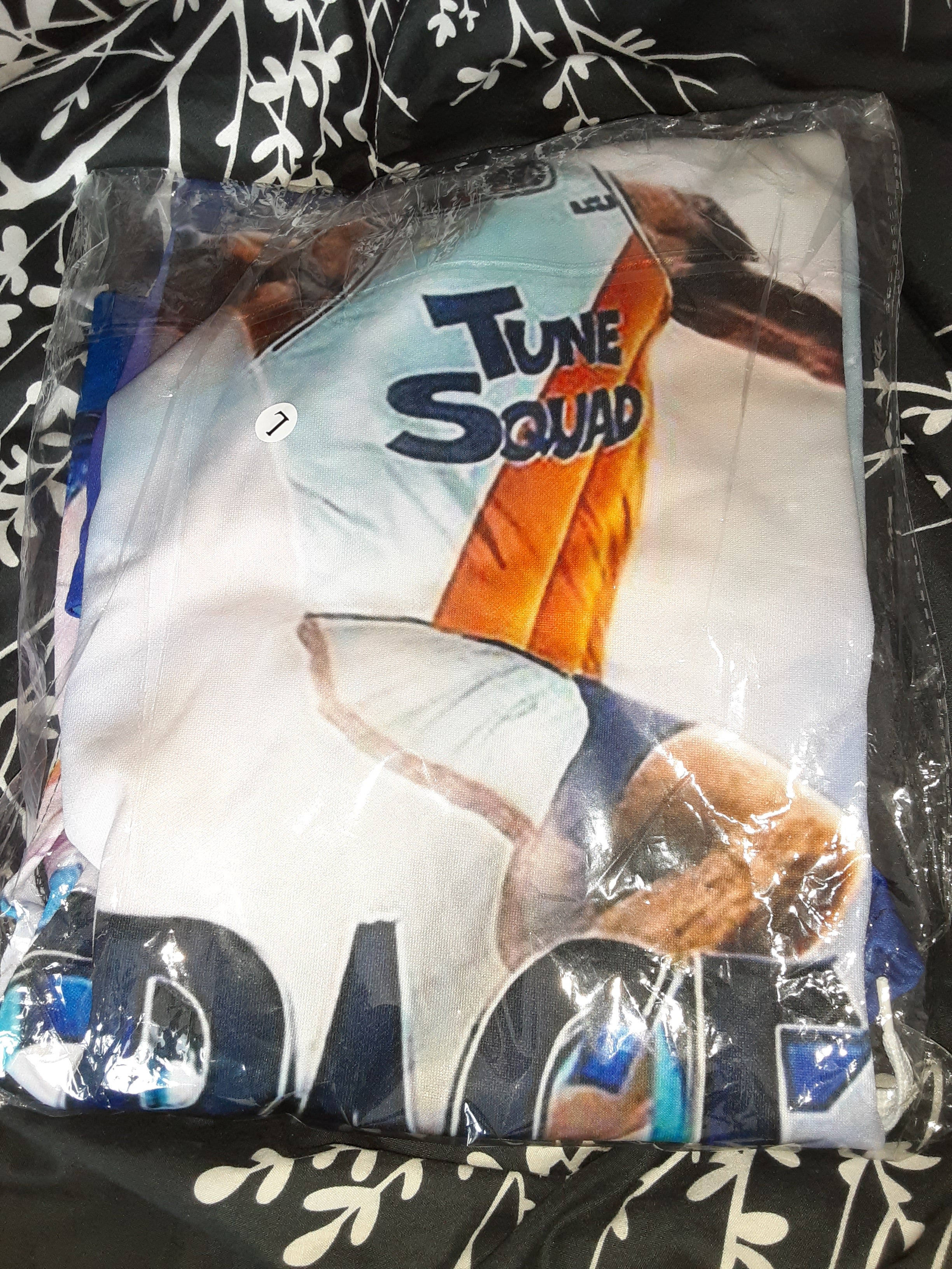 Space Jam hoodie