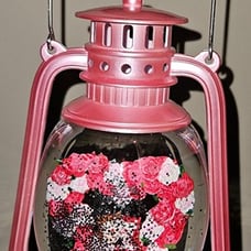 Valentines Day Gifts, Light Up Musical Snow Globes Lantern with Red Pink Roses H
