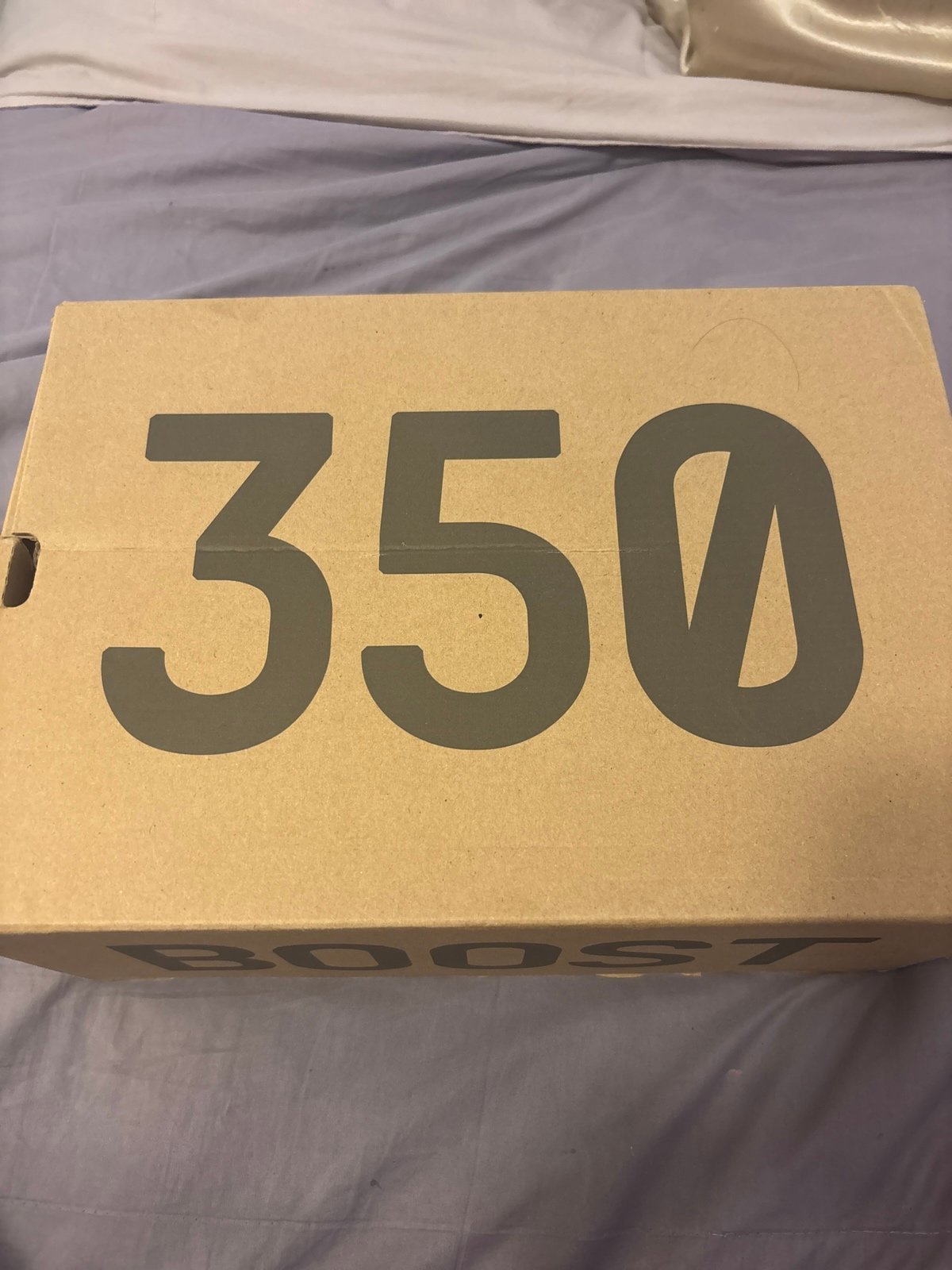 Yeezy 350