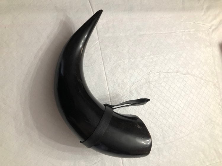 Authentic Raw Nordic Viking Bull Horn