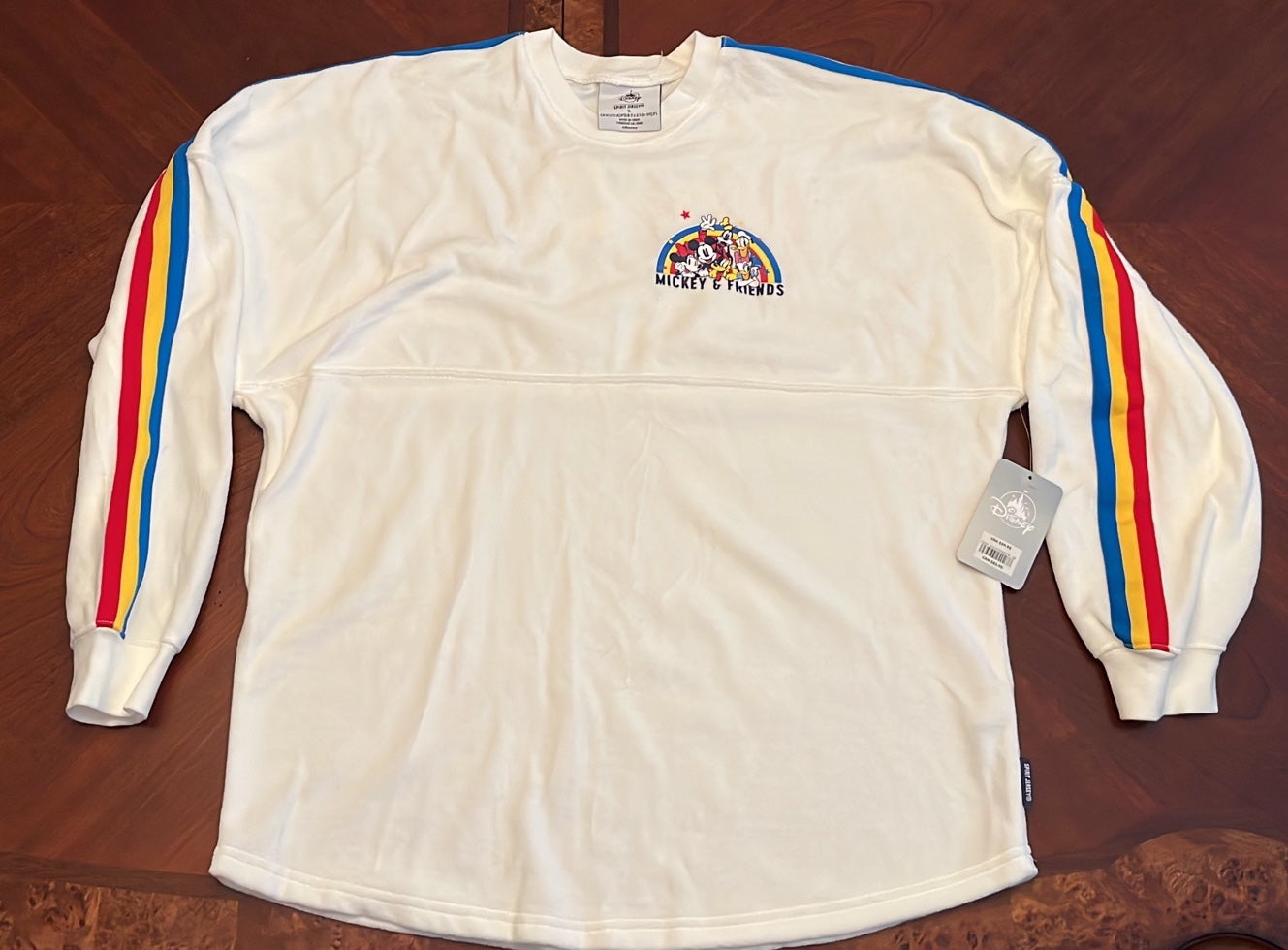 Disney Spirit Jersey