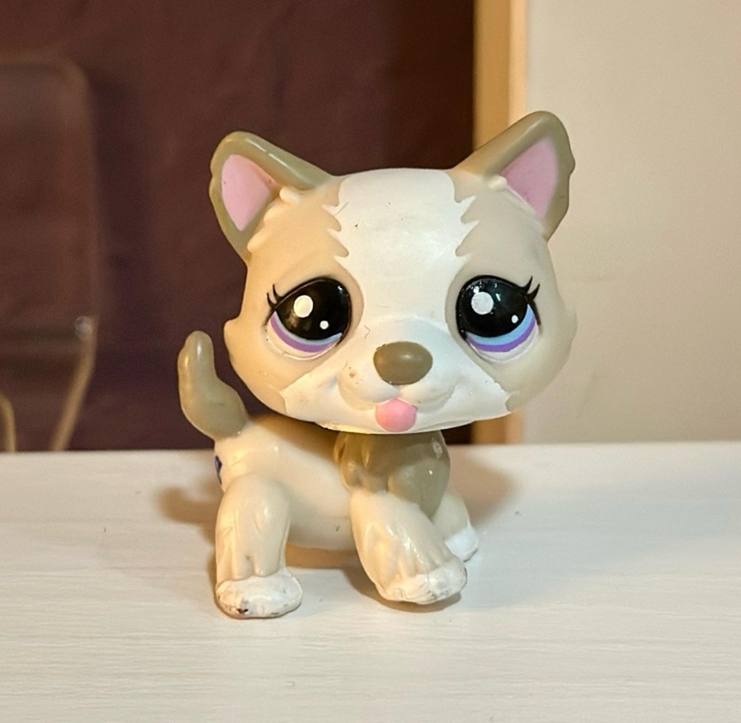 Littlest Pet Shop #1817 Husky