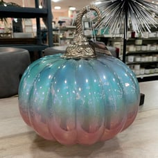 Beautiful Cinderella Fall Pumkin !