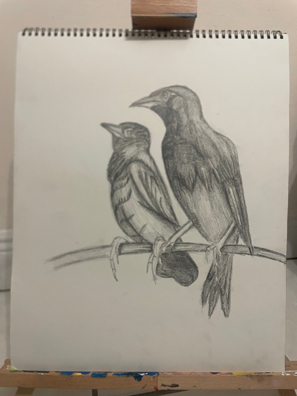 Drawing Art hand made pencil