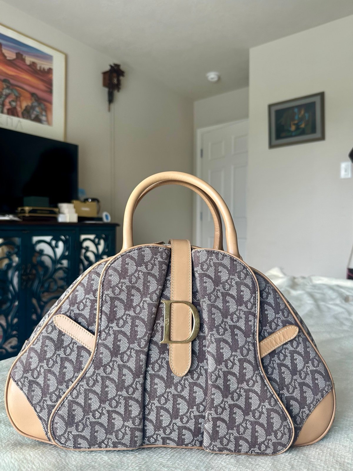 Christian Dior Double Saddle Bowler Bag