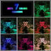 10 Pack Color Changing Solar Lights Outdoor Decorative for Garden