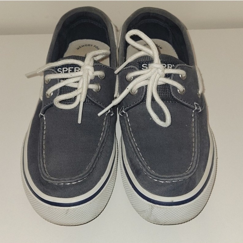 Mens sperry