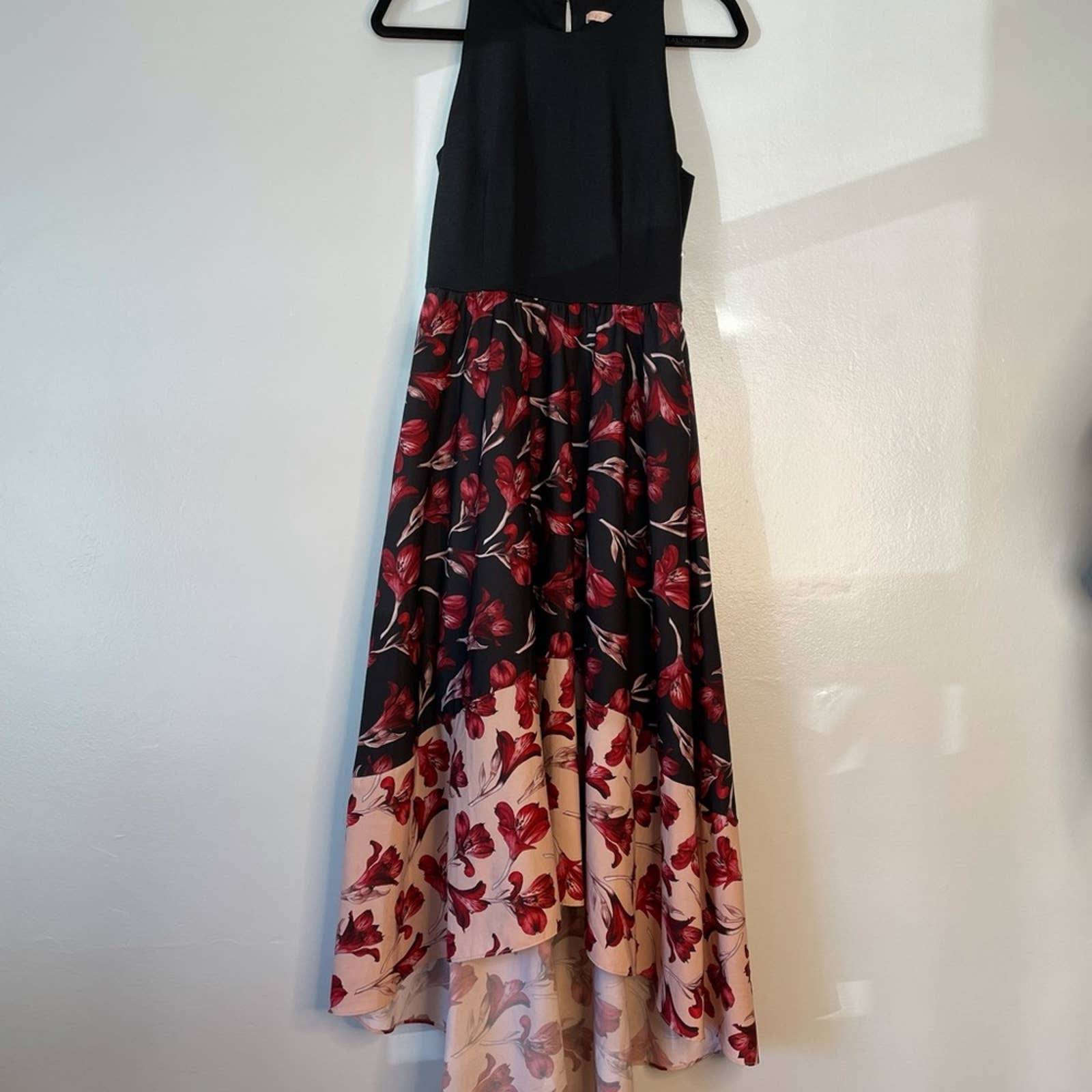 Hutch Floral High Low Sleeveless Maxi Dress