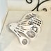 Rae Dunn Stem print measuring spoons