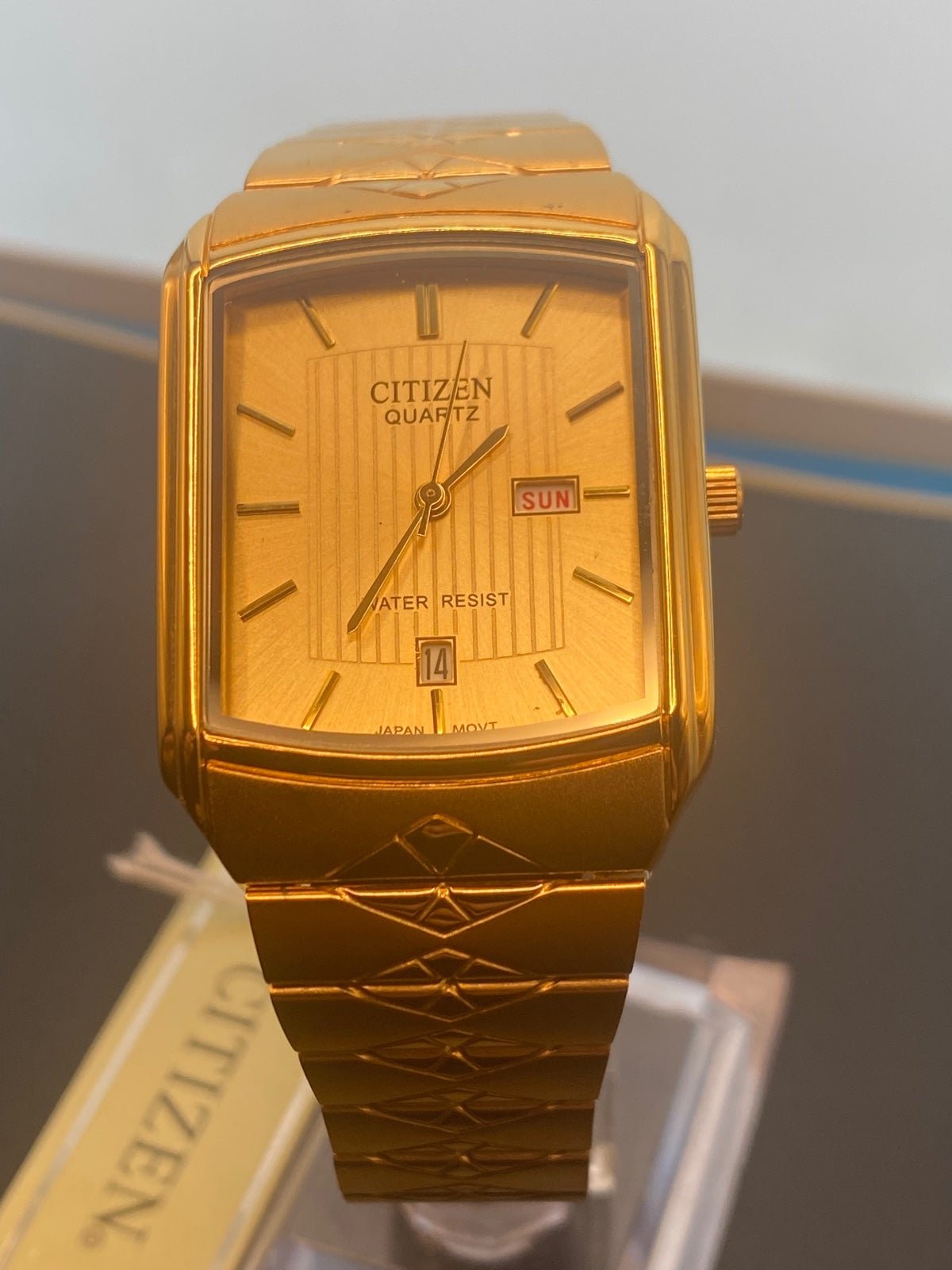 Citizen Brand Luzury Men Wrist Watch / Unisex Size , Stainless Steel , New It