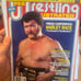 PRO WRESTLING ILLUSTRATED NOVEMBER 1983 HARLEY RACE MIL MASCARAS RODDY PIPER WWF