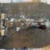 Vintage harley davidson belt buckle