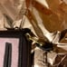 all-powerful wallet