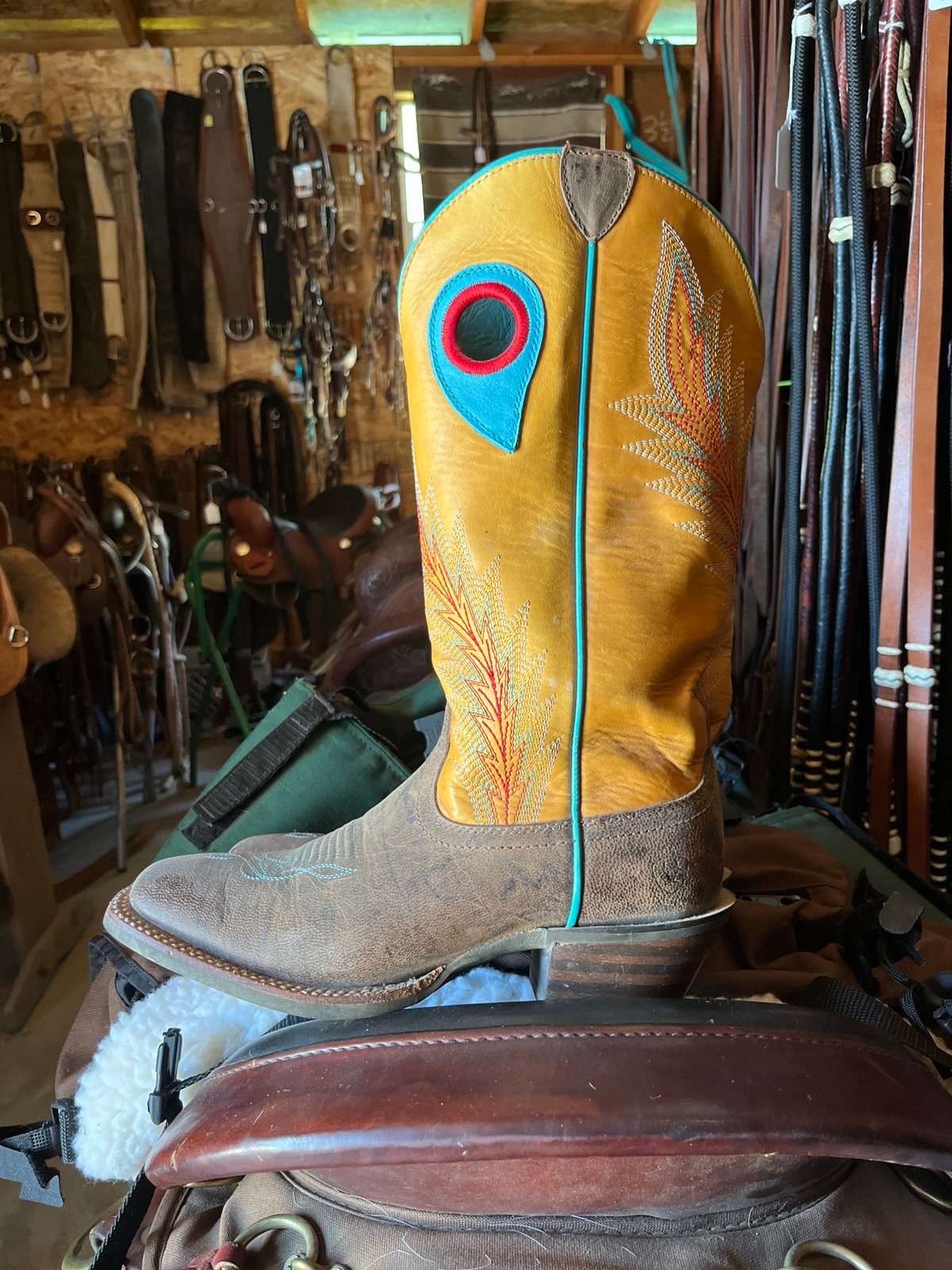 Lady Ariat 8B western boot square toe