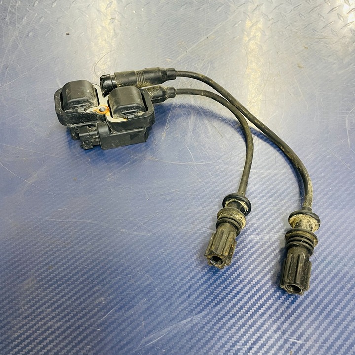 Polaris OEM 2011-2019 Ignition Coil Pack 800 850 1000 4