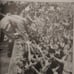 A Pictorial History of Adolf Hitler book