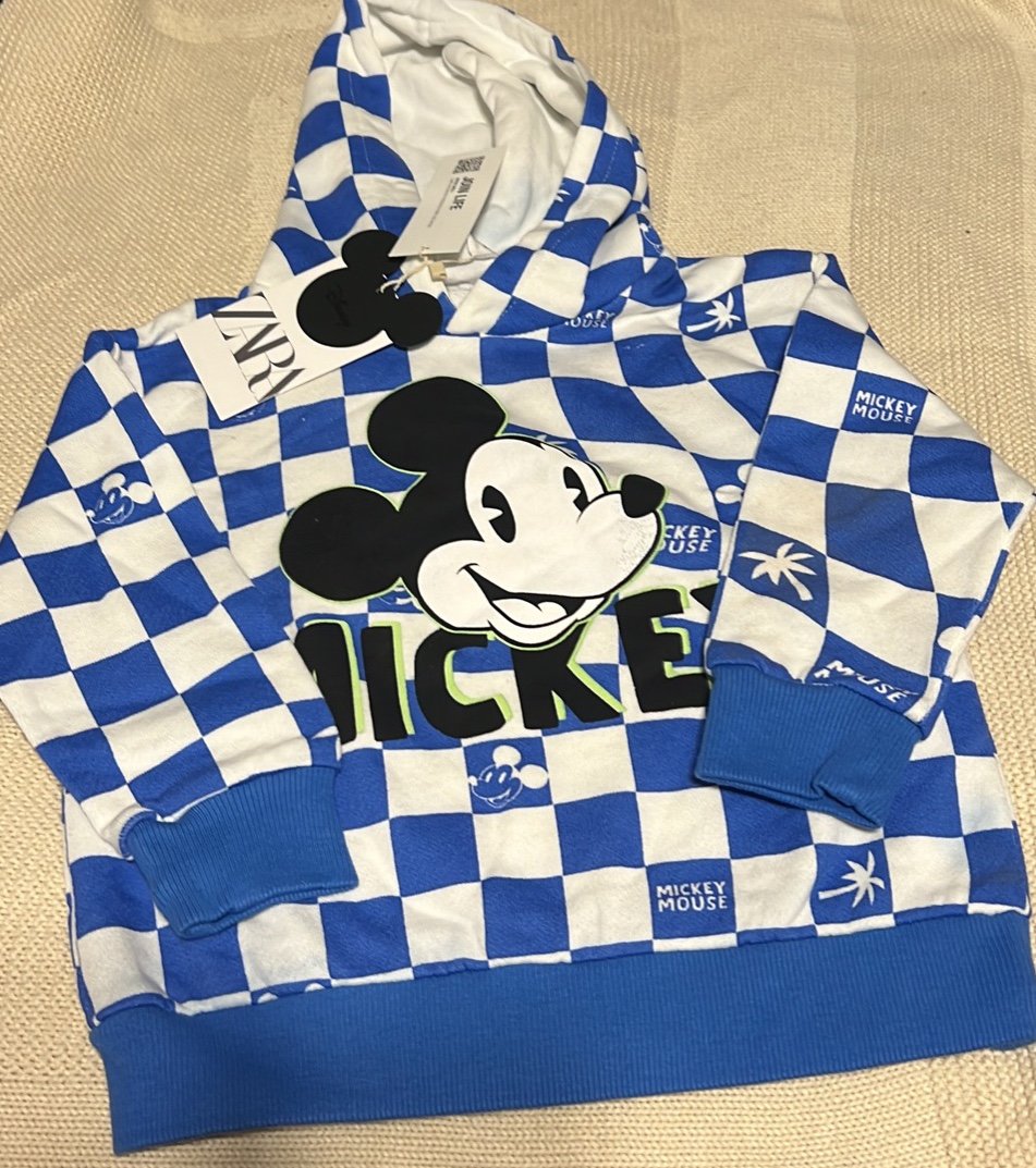 zara new sz 18-24 m Hoodie