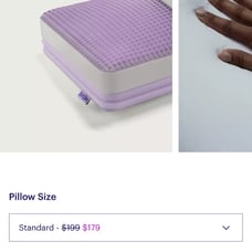 Bnib dreamlayer king size purple pillow