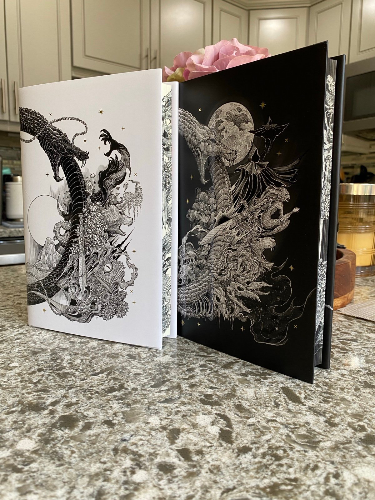 Illumicrate Ouroboros Duology by H. E. Edgmon