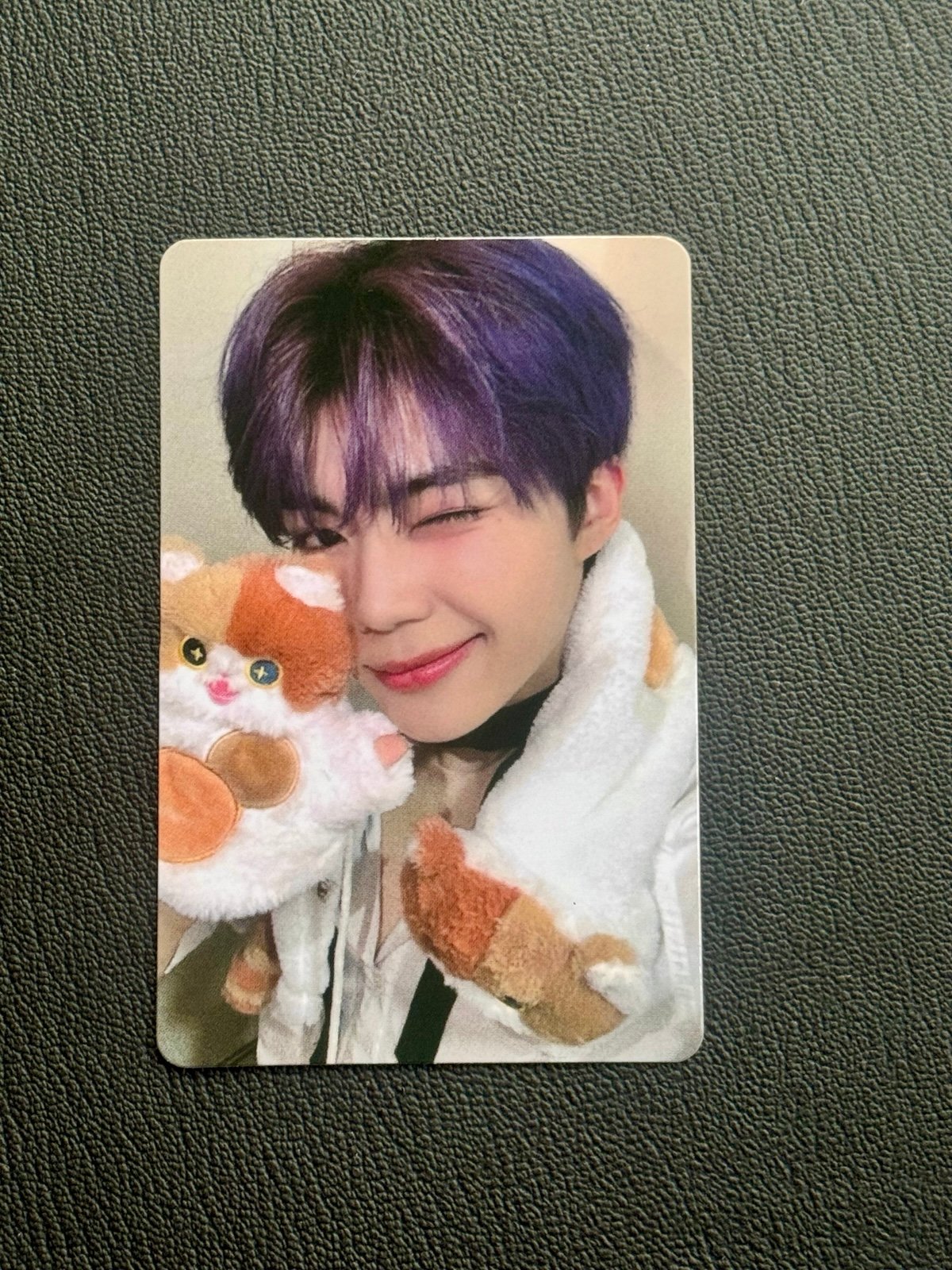 ZB1 Gunwook Cinema Paradise Photocard YZY Cat