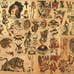 Sailor Jerry Traditional Vintage Style Tattoo Flash 50 Sheets 11x14 Old School