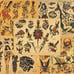 Sailor Jerry Traditional Vintage Style Tattoo Flash 50 Sheets 11x14 Old School