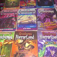 Huge Goosebumps Paperback Books Lot R.L. Stine