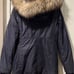 Aritzia Niseko Parka