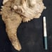 Driftwood decor