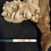 Driftwood decor