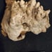 Driftwood decor