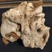 Driftwood decor