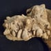 Driftwood decor