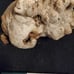 Driftwood decor
