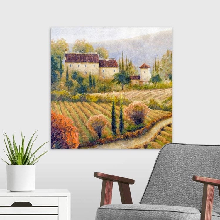 Tuscany Vineyard I