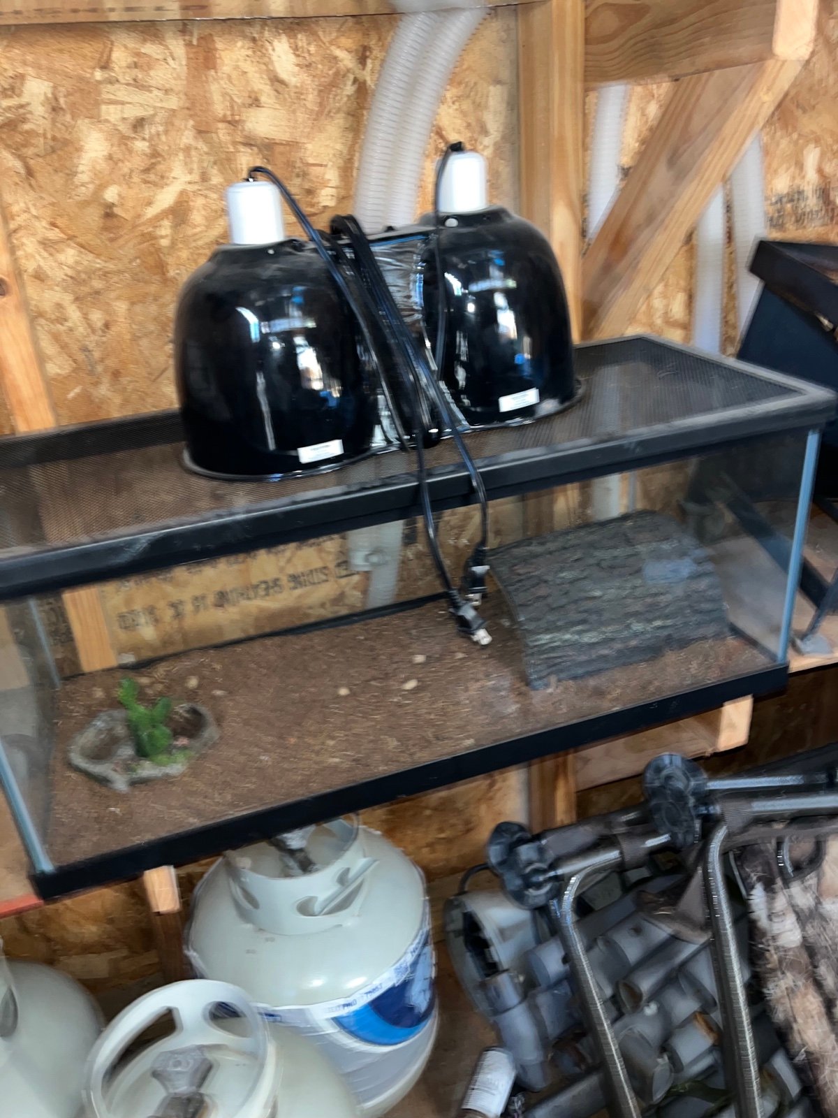 Terrarium with UV lamp