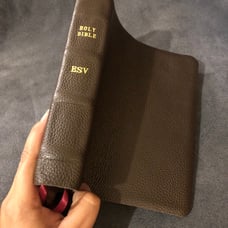 Esv single Column journaling Bible wide Margin leather English standard version