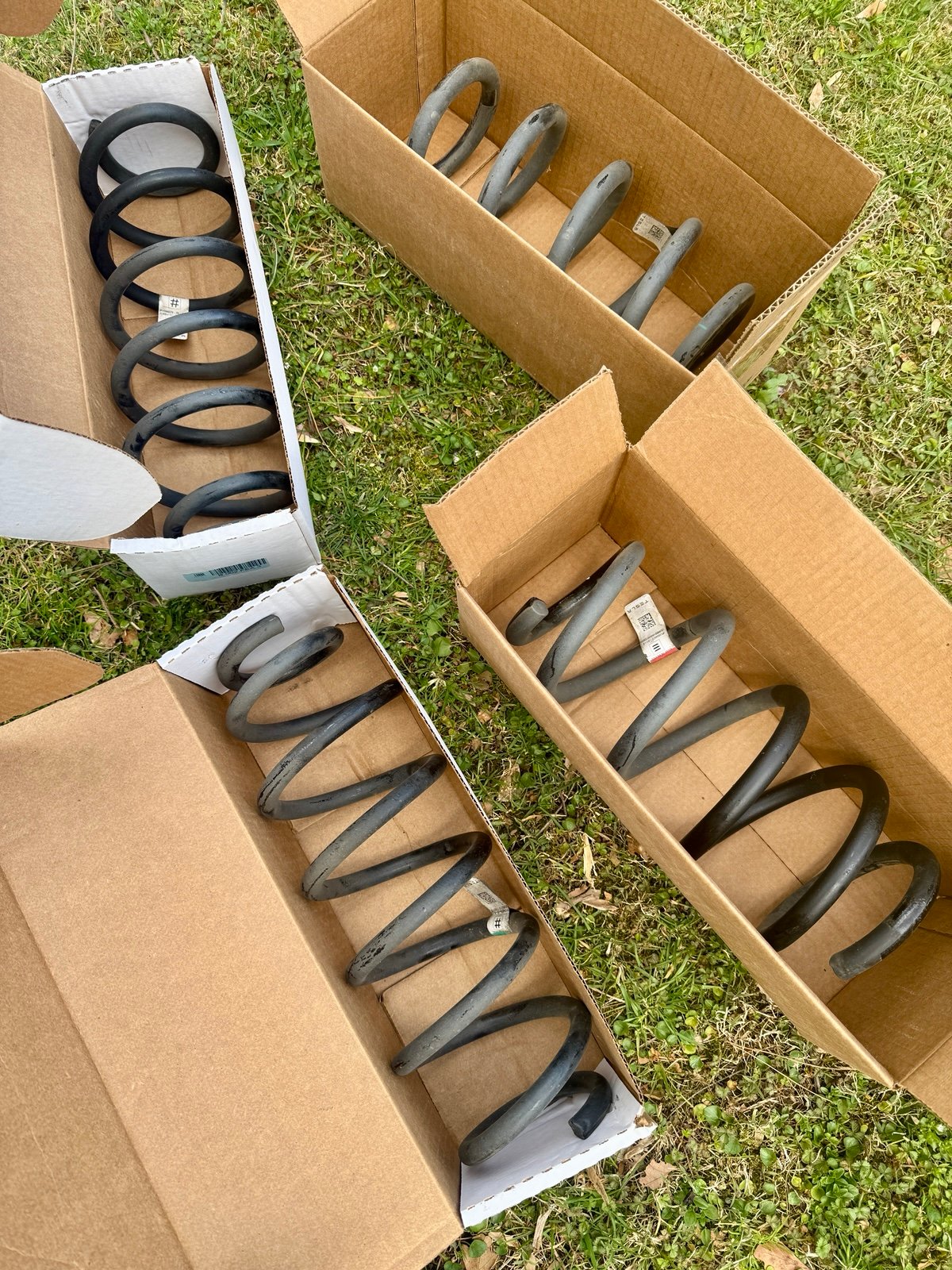 2017-2019 Tesla Model 3 Factory OEM Springs