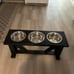 elevated dog bowl