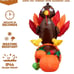 5 Ft Turkey Thanksgiving Inflatable