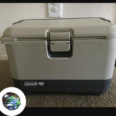 NWT Coleman® Pro™ 17-Quart Hard Cooler CLM100