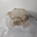 Funko pop out of box Haunted Mansion Gus