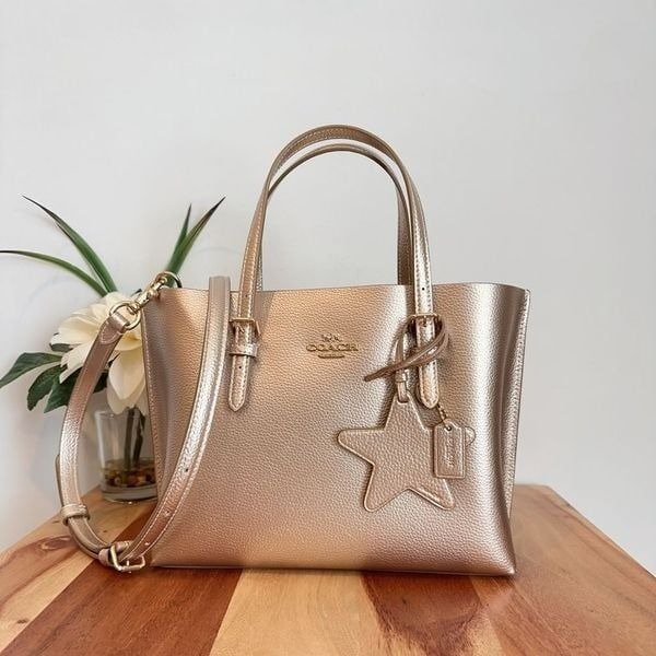 NWT Coach Mollie Tote Bag 25